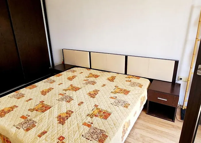 стела в к-с реджина маре