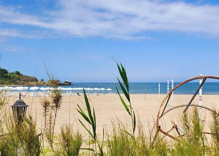 стела в к-с реджина маре *